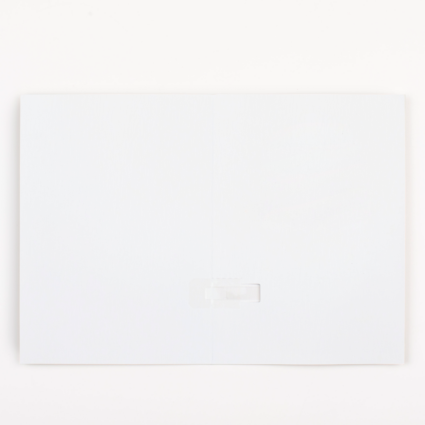 Endless Baby Shark Birthday With Glitter