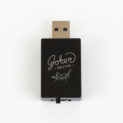 Farce USB criquet qui chante – image 3