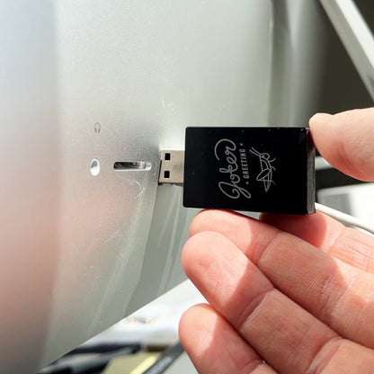 Farce USB criquet qui chante – image 6