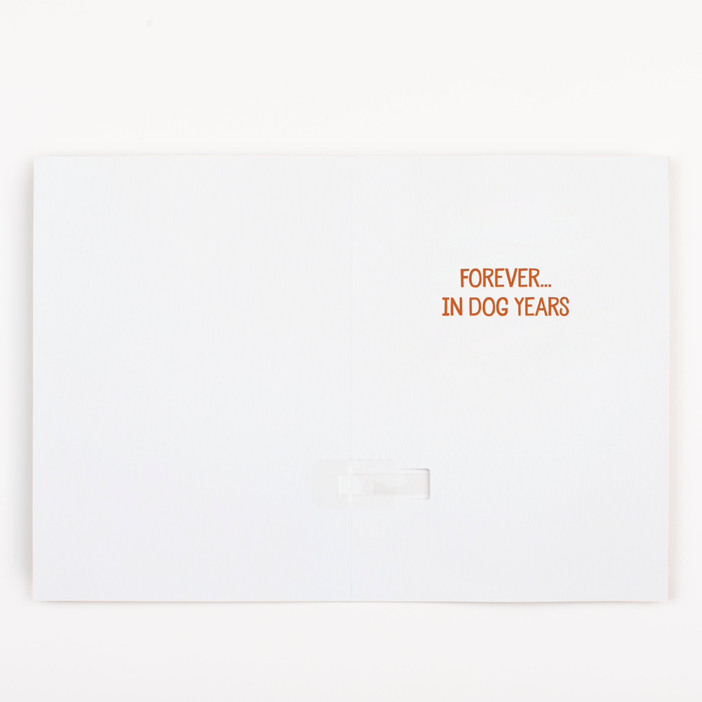 Endless Musical Greeting Card Never Gonna Give You Up Thank You Card With Glitter Bomb
