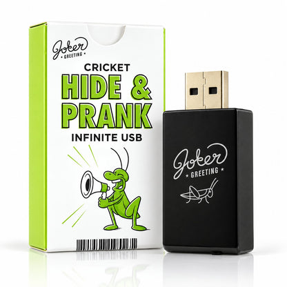 Farce USB criquet : la boîte et la clé USB noire