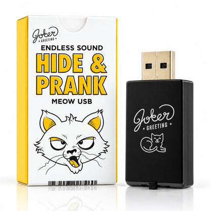 Farce USB chat qui miaule : la boîte et la clé USB noire