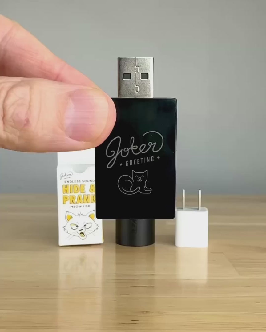 USB Cat Meow Prank – video: watch it play
