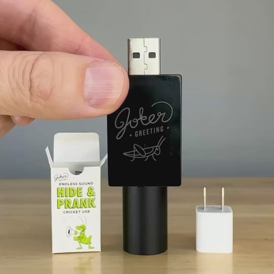 USB Cricket Prank – video: watch it play