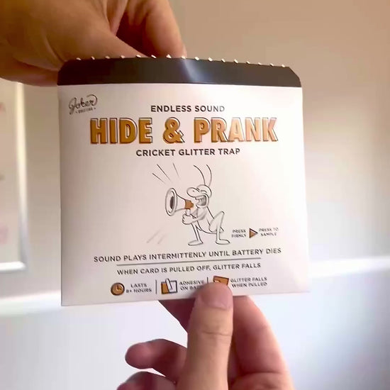 Hide & Prank Cricket – video: watch it play