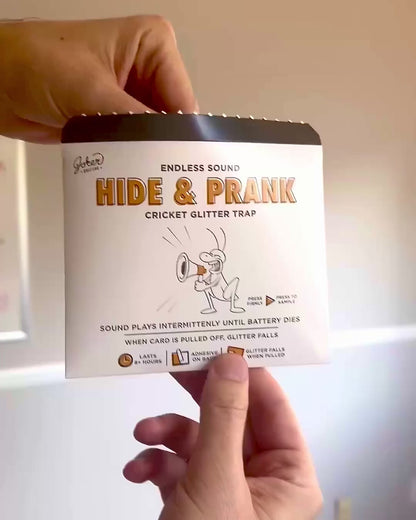 Hide & Prank Cricket – video: watch it play