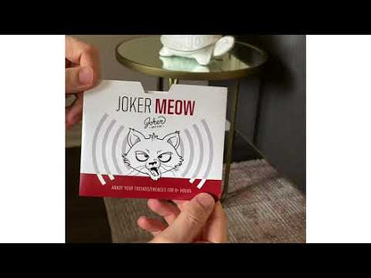 Hide & Prank Cat Meow – video: watch it play